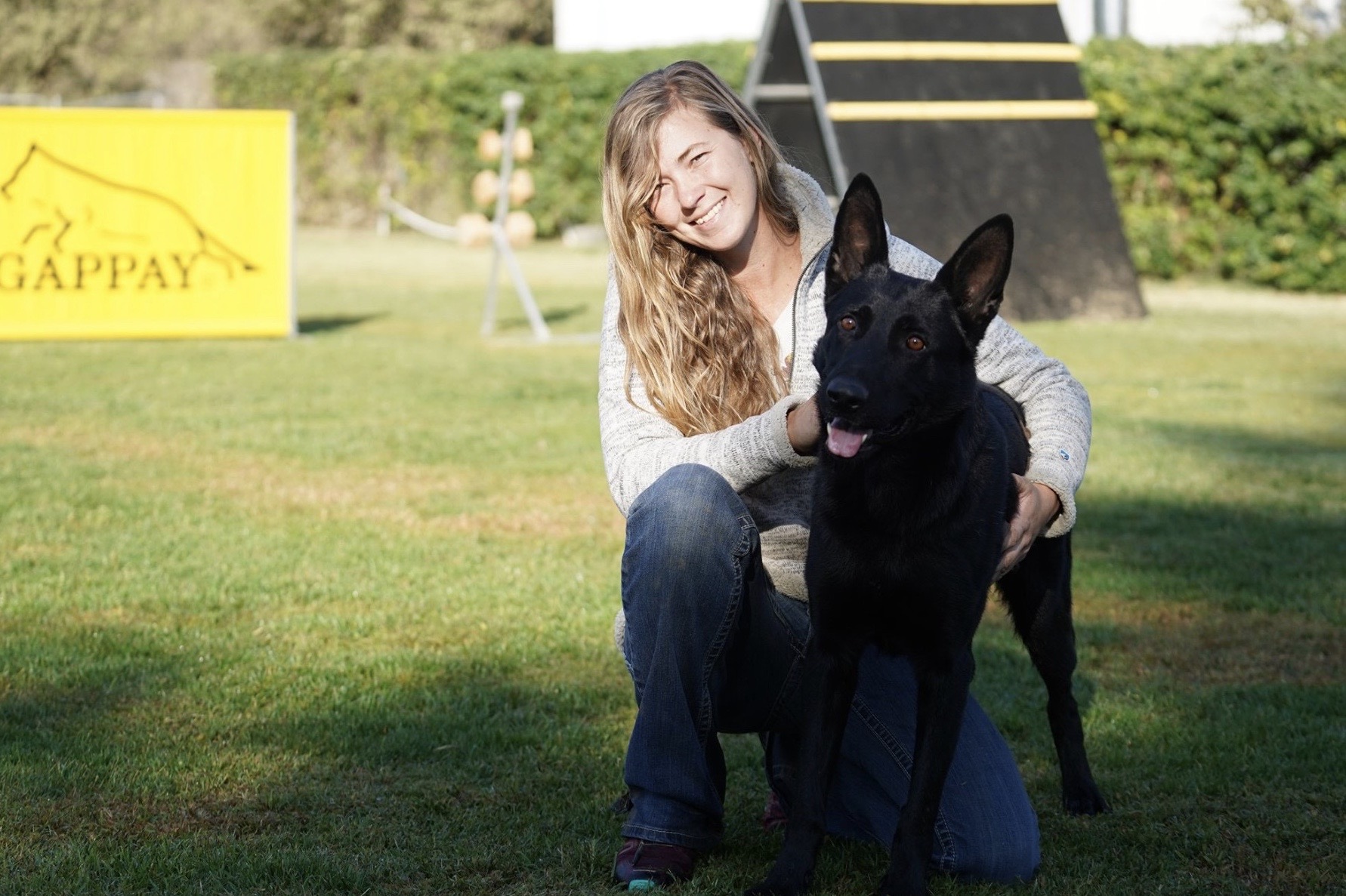 Aus dem store tal german shepherds